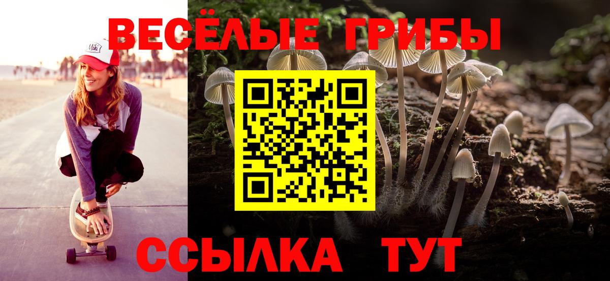 Псилоцибиновые грибы GOLDEN TEACHER Георгиевск